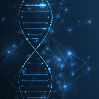 Optimisation de l'immunométabolisme : Réduction du risque de maladies auto-immunes avec la vitamine D et les oméga-3